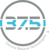 37 5 international Logo